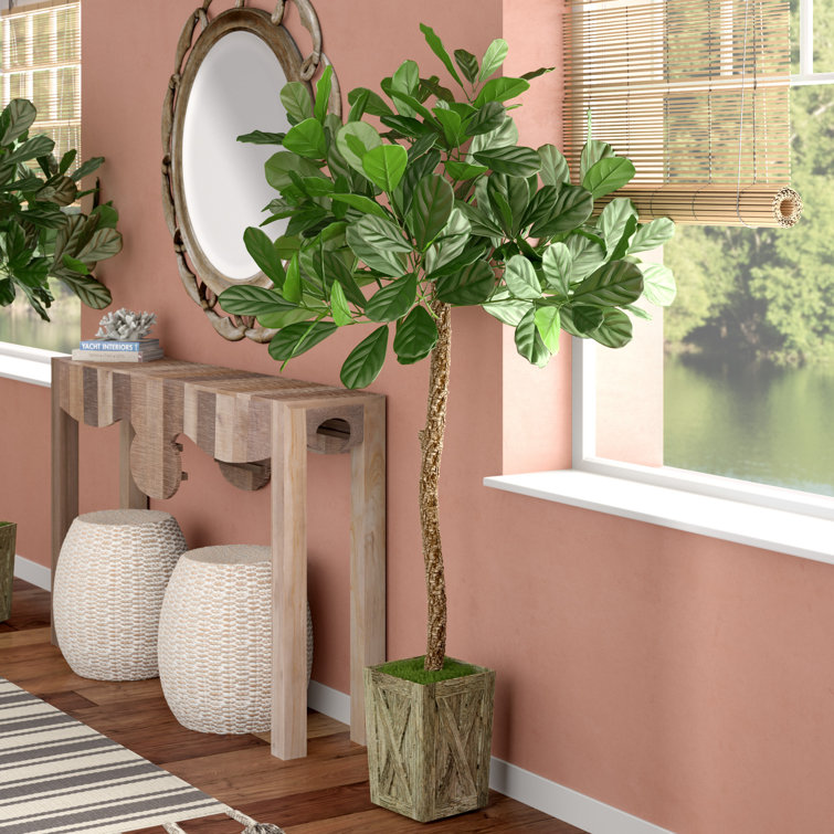 Bay Isle Home Fiddle Leaf Fig Tree in Planter & Reviews Wayfair